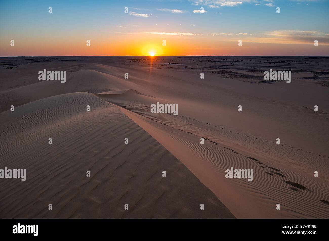 Coucher de soleil sur les dunes de sable, plateau de Djado, Sahara, Niger, Afrique Banque D'Images