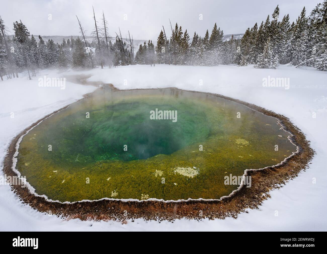 Piscine Morning Glory avec neige et reflets, parc national de Yellowstone, site classé au patrimoine mondial de l'UNESCO, Wyoming, États-Unis d'Amérique, Amérique du Nord Banque D'Images