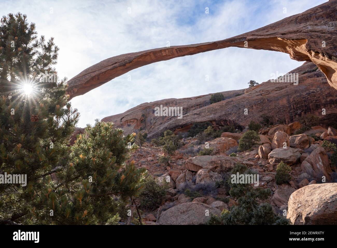 Landscape Arch avec Sunburst à travers l'arbre, Arches National Park, Utah, États-Unis d'Amérique, Amérique du Nord Banque D'Images