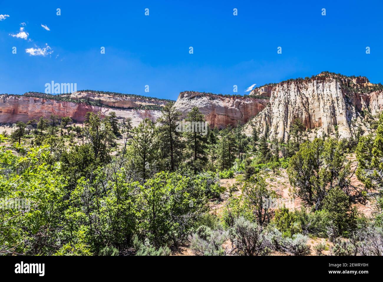 Le parc national de Zion dans l'Utah Banque D'Images