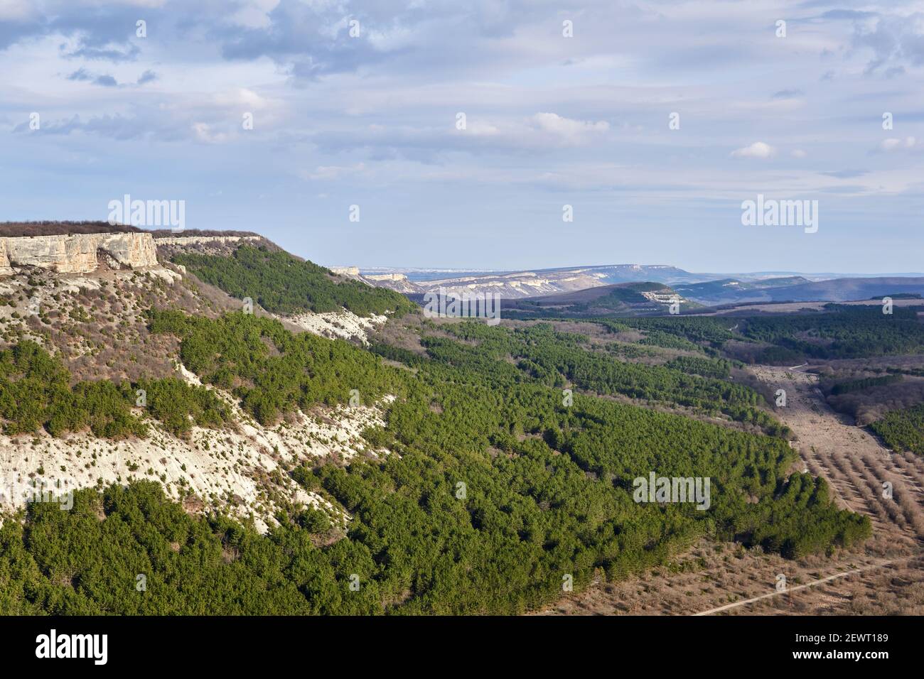 Paysage - scarpland avec des cuestas et des plantations forestières dans le centre Crimée Banque D'Images