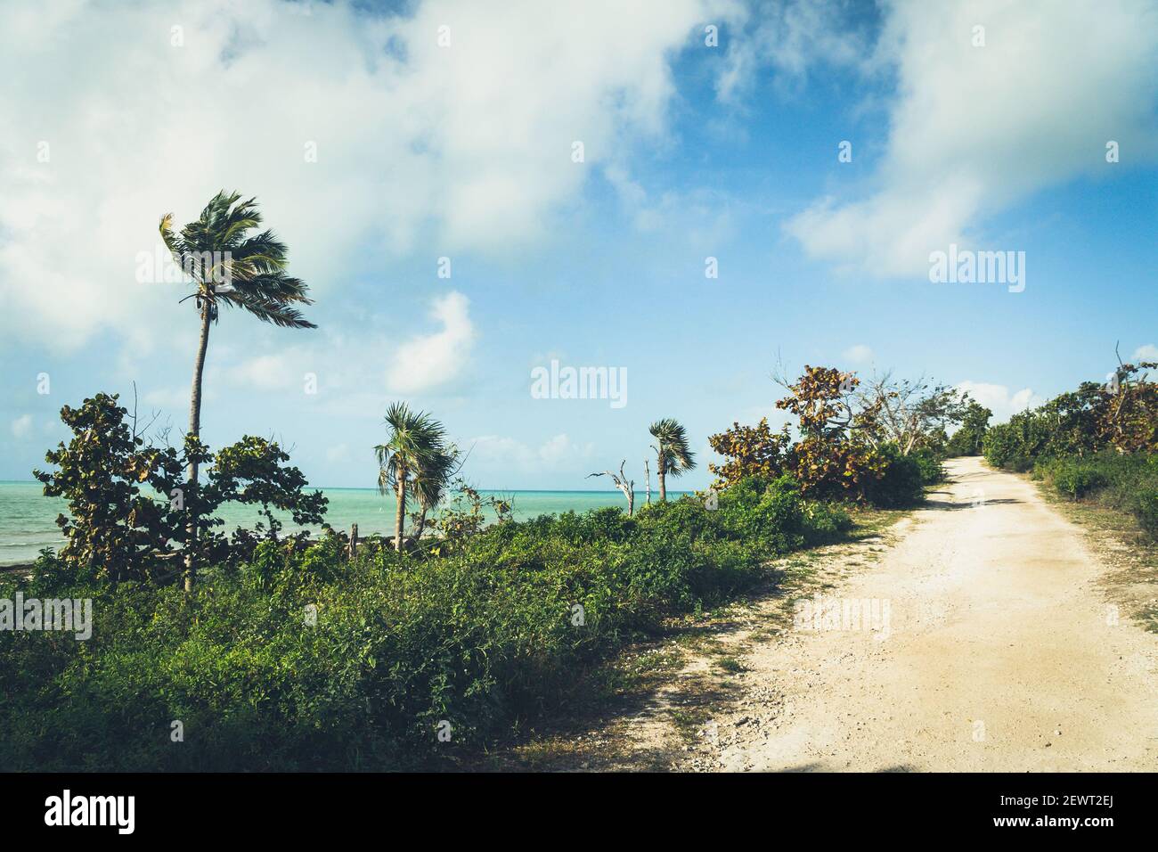 Bahia Honda State Park dans les Florida Keys. Mars 2021 Banque D'Images