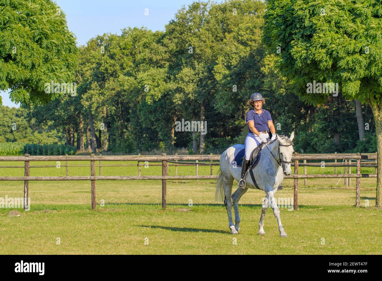 Horsewoman à cheval blanc en douceur. La Hollande a environ 500,000 cavaliers et 450,000 chevaux. Il y a 1,500 associations de circonscription. Banque D'Images