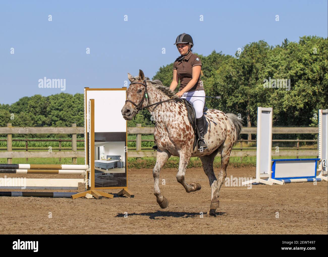 Equpement pour Cavalers | Veste de concours, Equtaton, Cavalère