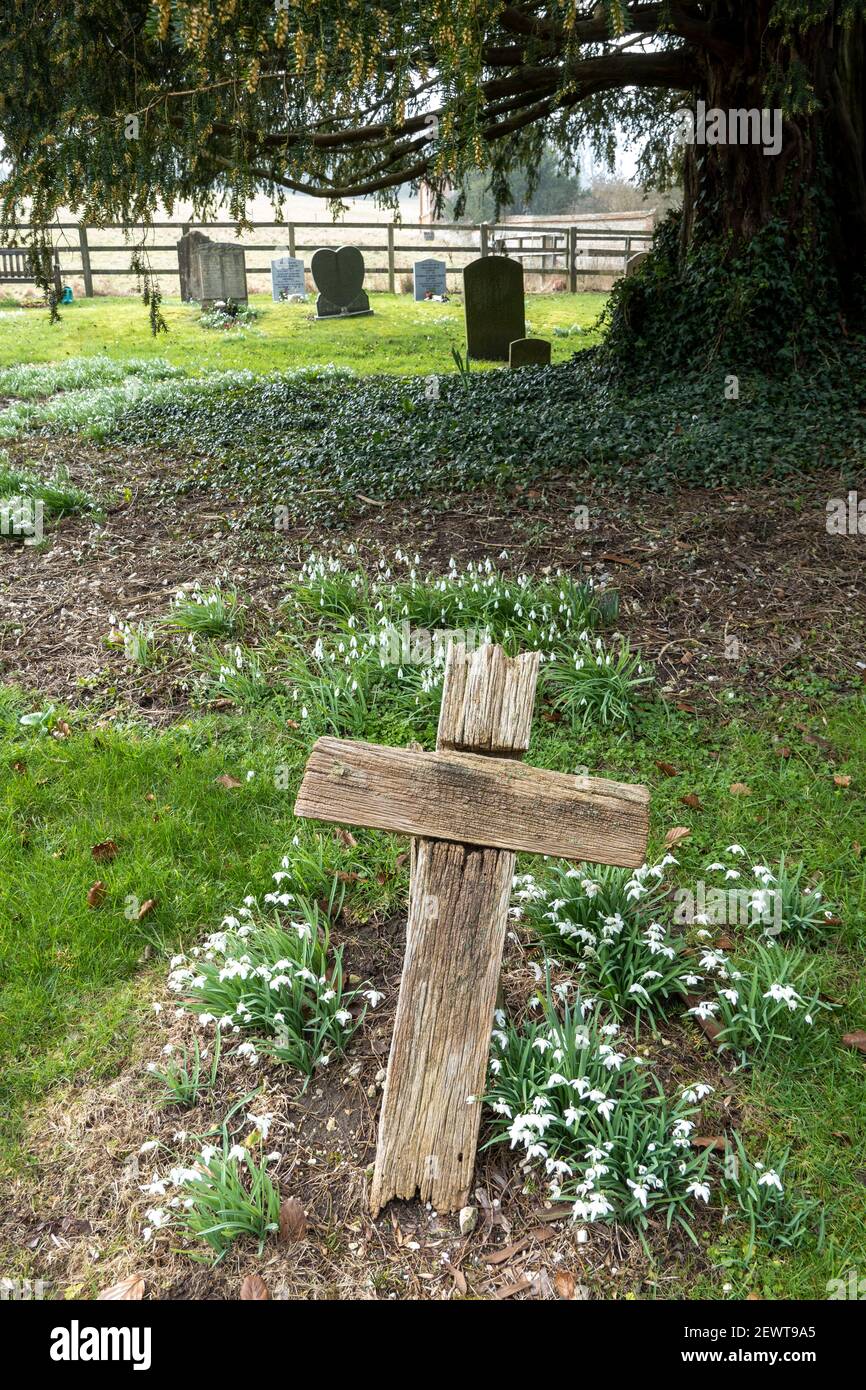 Croix en bois rotting dans le jardin entouré de chutes de neige, Combe, West Berkshire, Angleterre, Royaume-Uni, Europe Banque D'Images