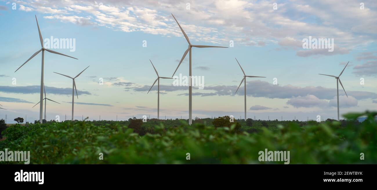 Parc d'éoliennes. Pour le développement durable, respectueux de l'environnement. Concept d'énergie renouvelable, durable, alternative à partir de l'énergie éolienne. Banque D'Images