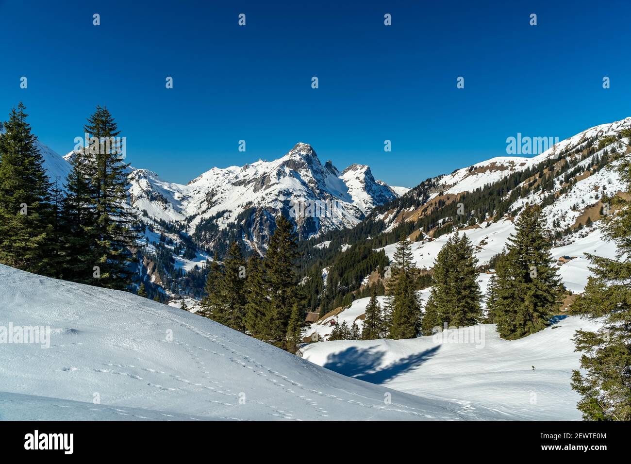 Schneeschuhsuren im verschneiten Bregenzerwald. Pistes de raquettes dans la forêt enneigée de Bregenz. Montagnes enneigées avec sapins, paradis hivernal Banque D'Images