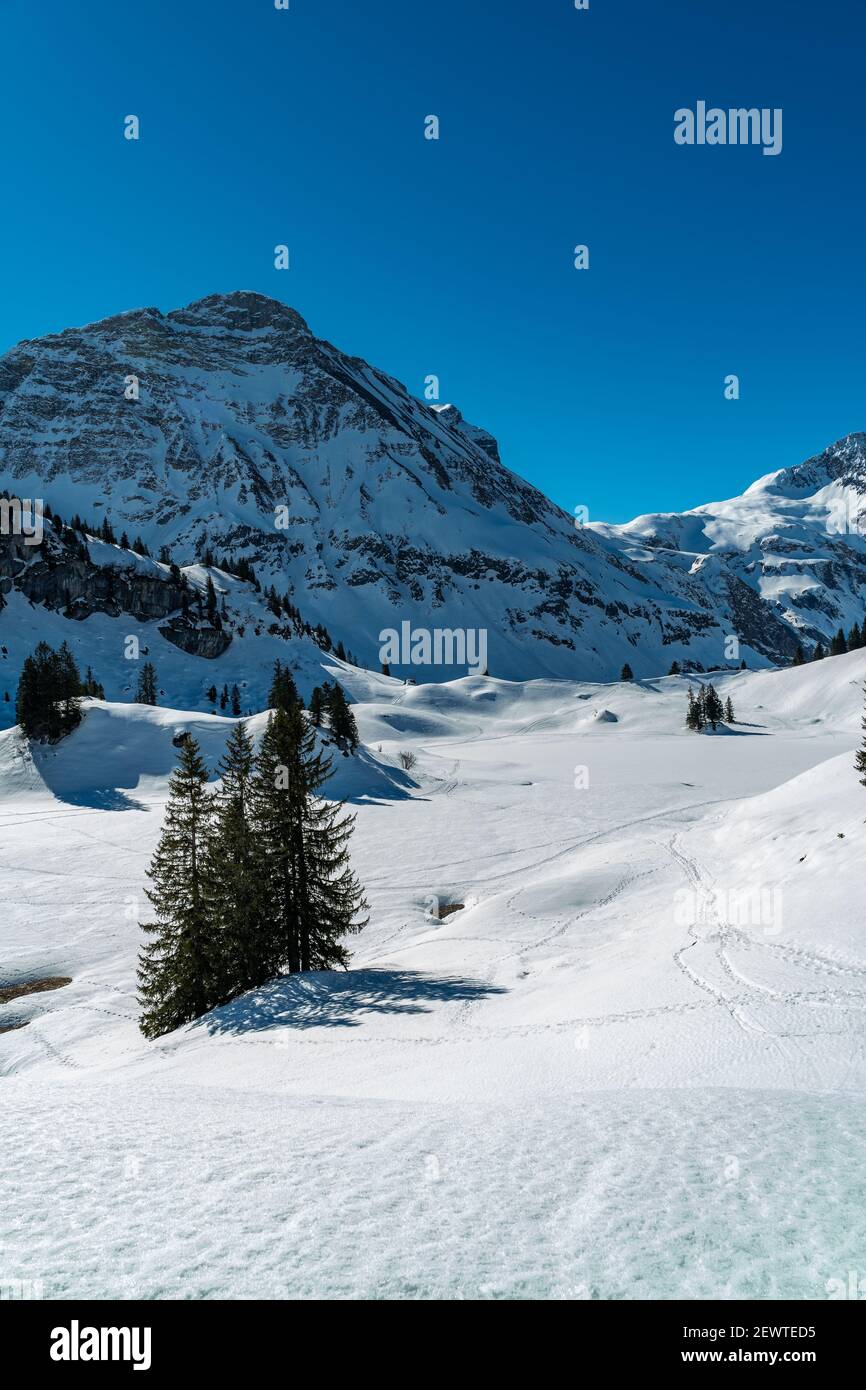 Schneeschuhsuren im verschneiten Bregenzerwald. Pistes de raquettes dans la forêt enneigée de Bregenz. Montagnes enneigées avec sapins, paradis hivernal Banque D'Images