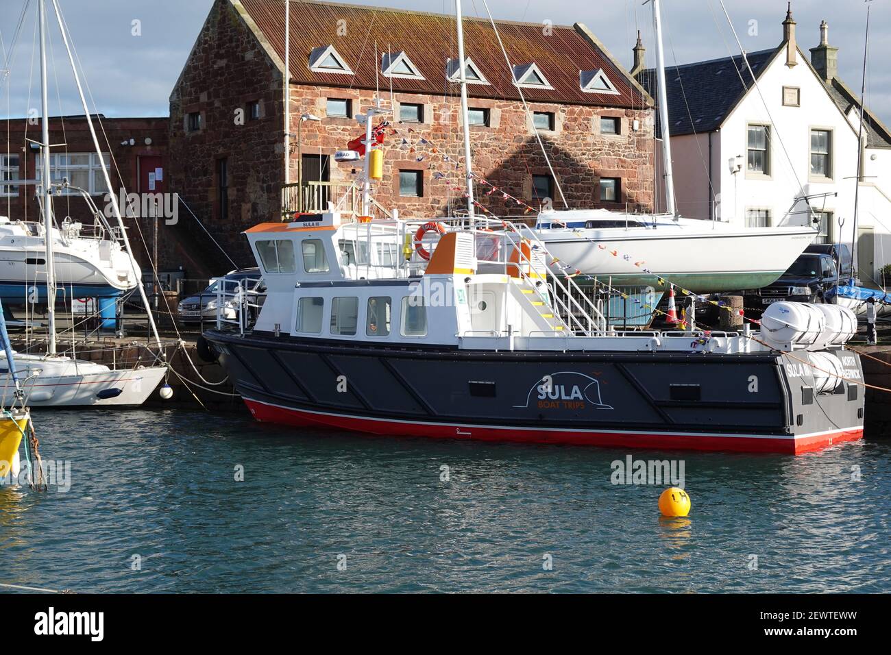 Bateau d'excursion d'une journée à Sula III dans le port de Berwick Nord Banque D'Images