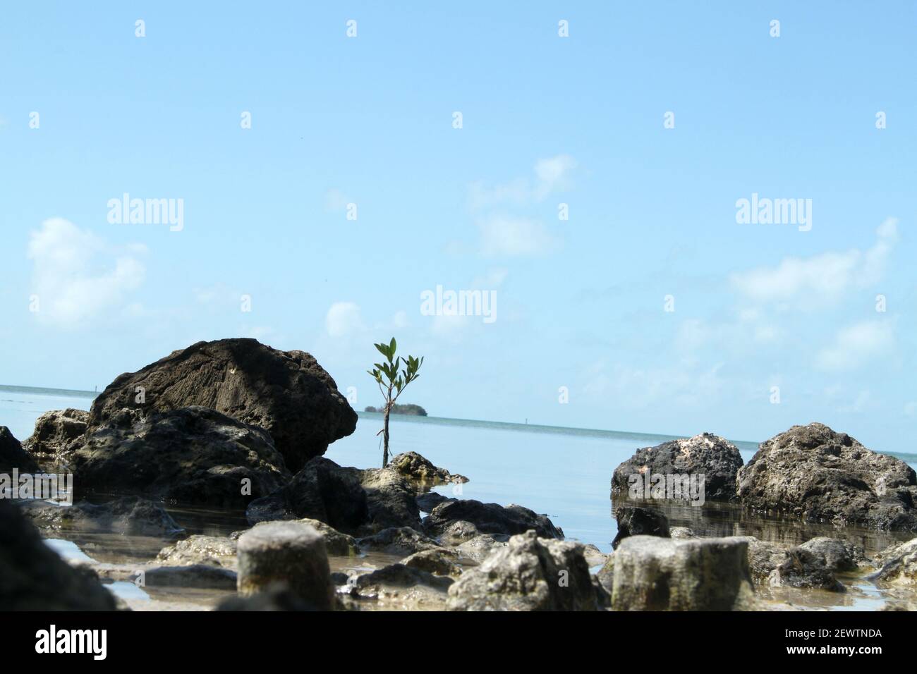 Key Largo, Floride, États-Unis. Vue sur la baie de Floride. Banque D'Images