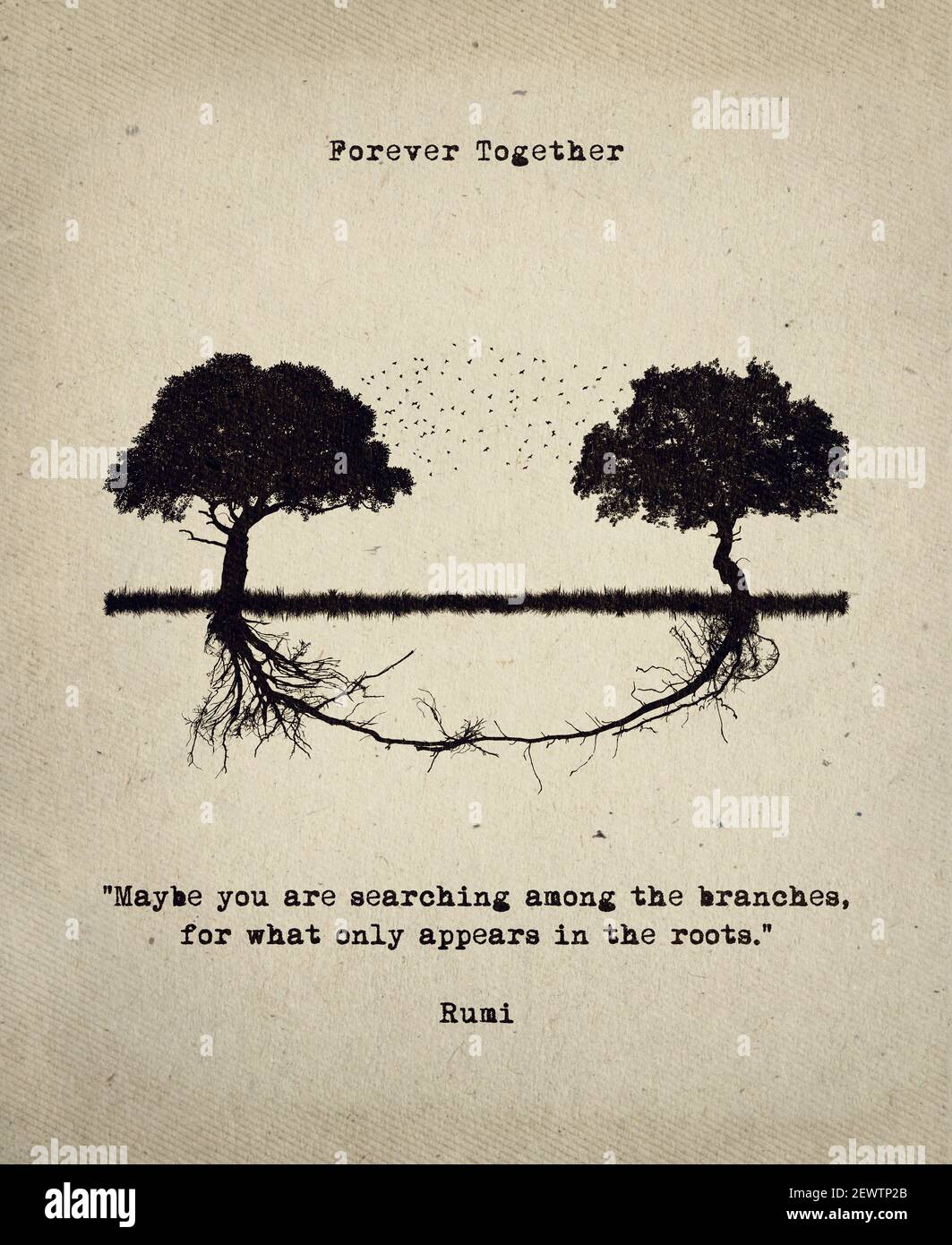 Peut Etre Que Vous Recherchez Parmi Les Branches Pour Ce Qui N Apparait Que Dans Les Racines Citation Inspirante De Rumi Avec Un Art Conceptuel Deux Arbres Photo Stock Alamy