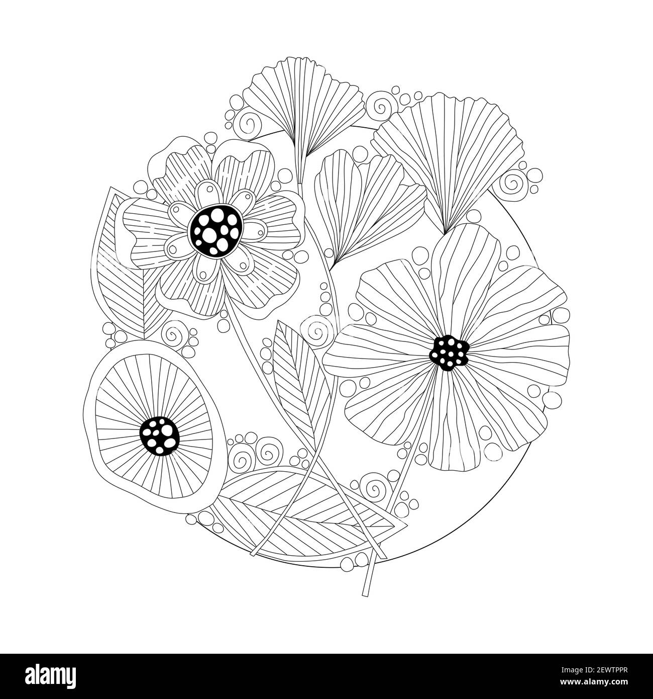 Contours fleurs de zentangle en noir et blanc pour les livres de coloriage pour adultes, dessin de motif floral monochrome. Illustration de Vecteur