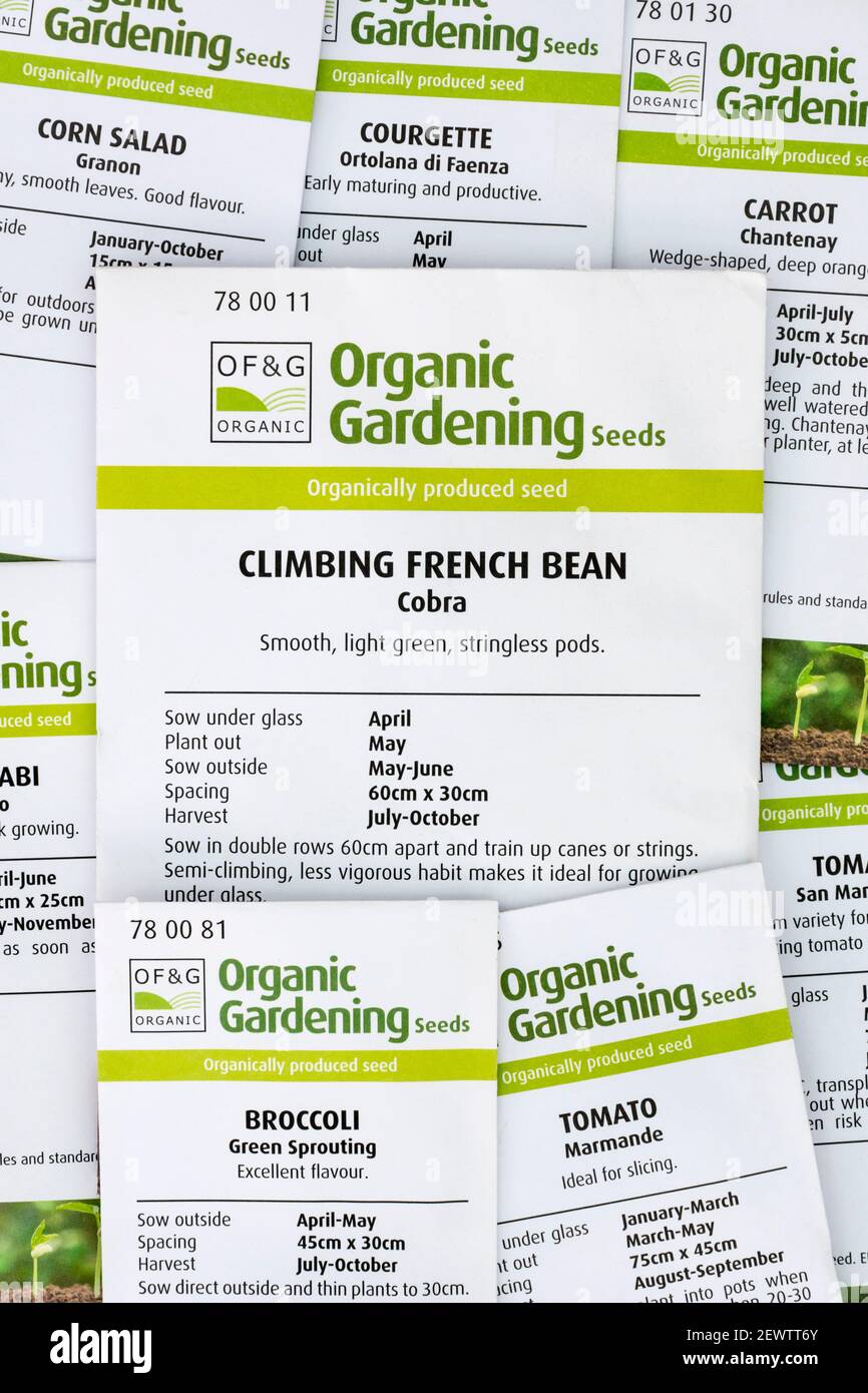 Paquets de semences de légumes biologiques pour un potager ou un allotissement. Organic Gardening certifié par Organic Farmers & Growers. Banque D'Images