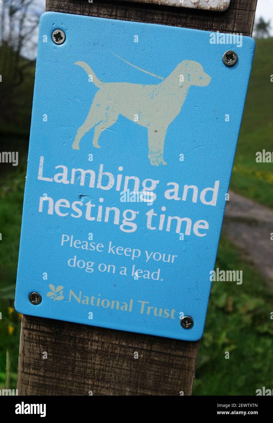 Signature de National Trust « Please Keep your dog on lead during time and Lambbing time », Wolfescote Dale, Milldale, Derbyshire, Angleterre, ROYAUME-UNI Banque D'Images