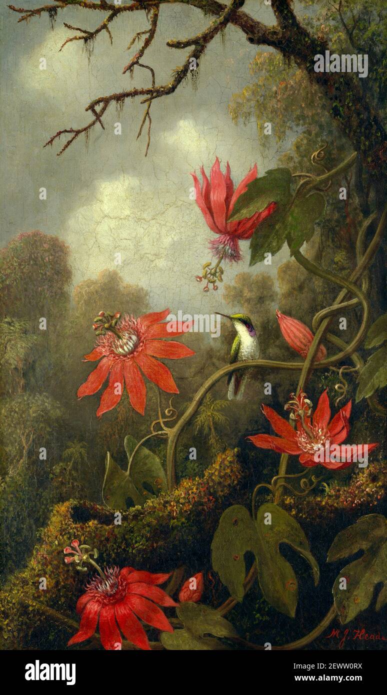 Colibri et fleurs de la passion par Martin Johnson Heade Banque D'Images