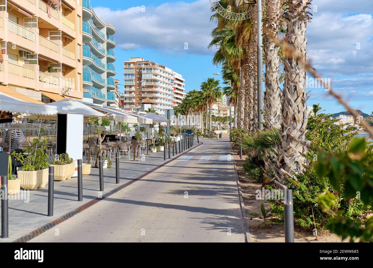 Café extérieur près de la route bordée de palmiers dans la ville touristique de Villajoyosa ou Vila Joyosa, jour ensoleillé, pas de personnes Costa Blanca, Espagne. Nourriture et boissons p Banque D'Images