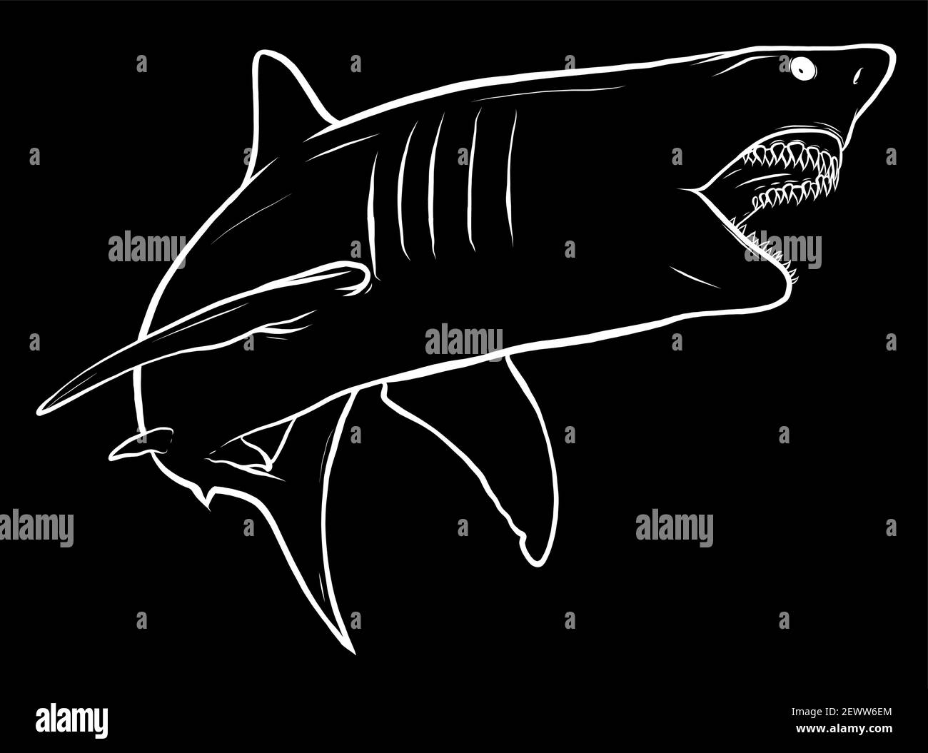 illustration vectorielle de dessin animé représentant un requin blanc Illustration de Vecteur
