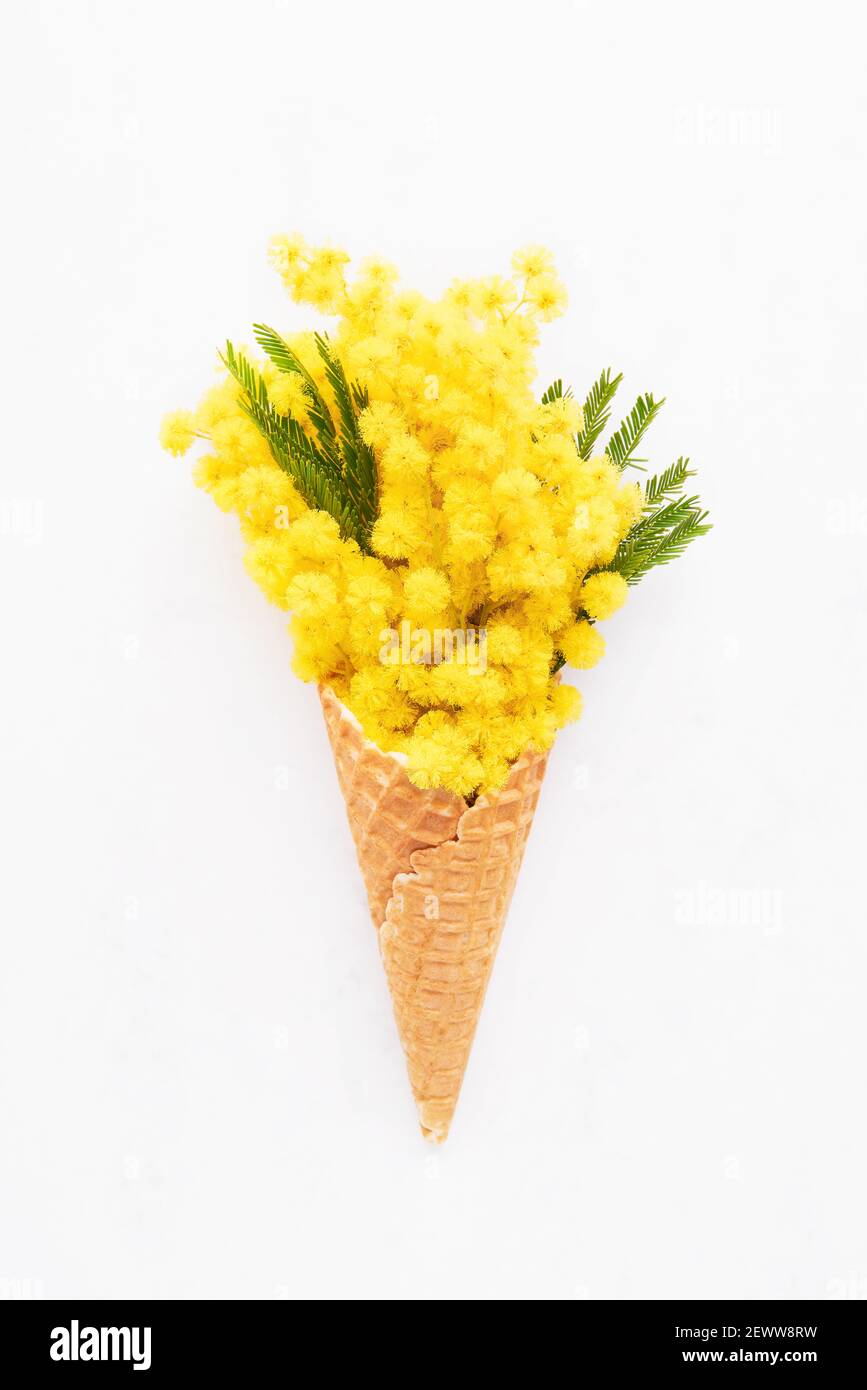 Cône de glace gaufré avec fleurs mimosa sur fond clair. Concept de ressort. Espace de copie, vue de dessus Banque D'Images