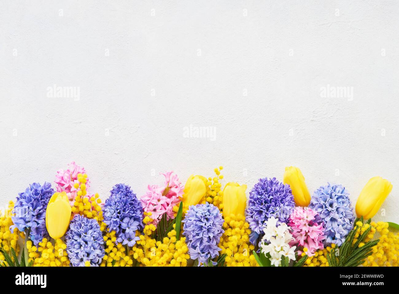 Les fleurs printanières sont borées d'un fond blanc. Concept de fête des mères, de fête de la Saint-Valentin, de célébration d'anniversaire. Vue de dessus, espace de copie pour le texte. Banque D'Images