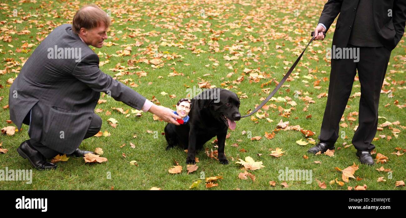 Spectacle canin de Westminster..... M.PS et leurs animaux de compagnie participent au spectacle de chiens de Westminster David Amiss MP et Michael qui a un jouet Gordon Brown en caoutchouc. pic David Sandison Banque D'Images