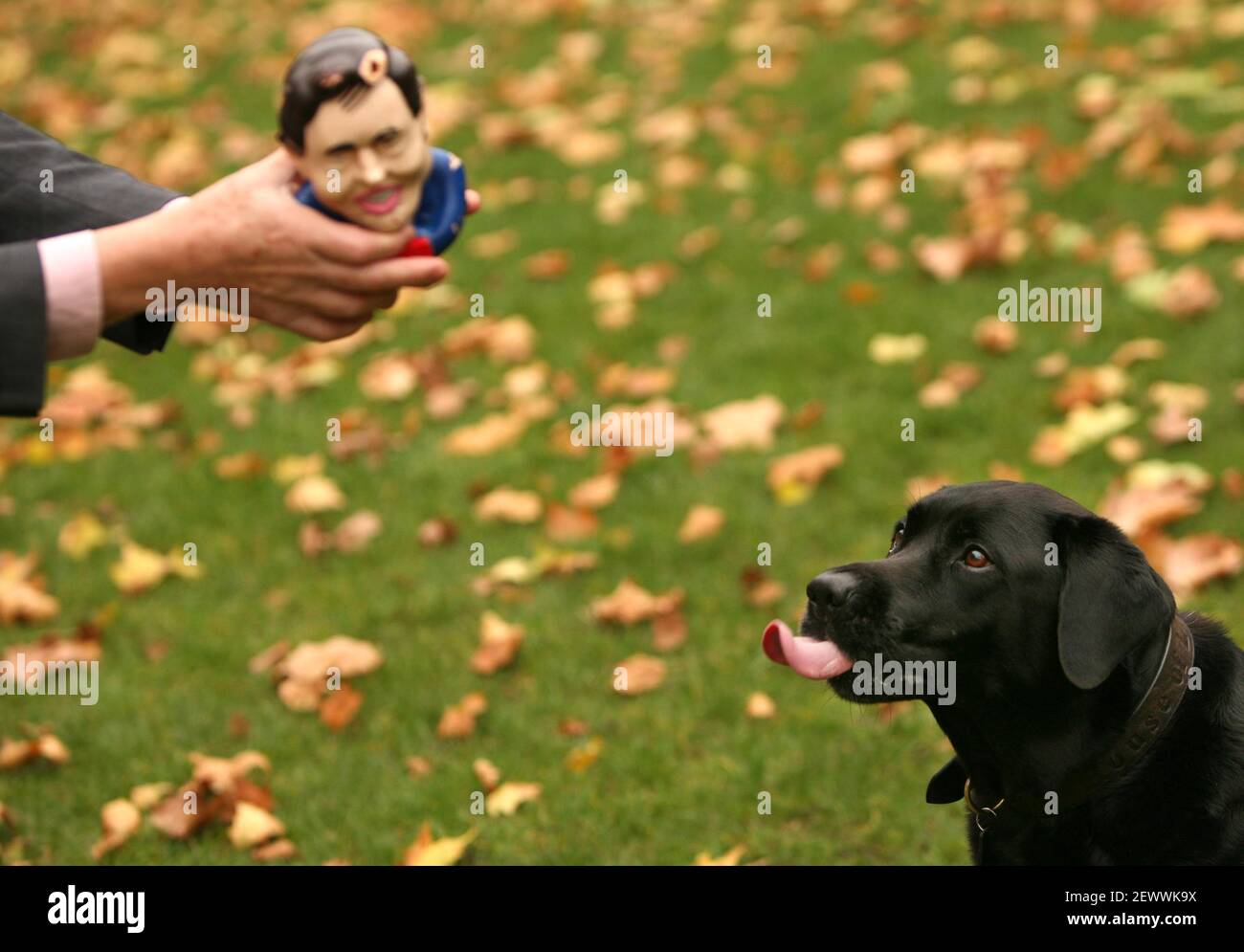 Spectacle canin de Westminster..... M.PS et leurs animaux de compagnie participent au spectacle de chiens de Westminster David Amiss MP et Michael qui a un jouet Gordon Brown en caoutchouc. pic David Sandison Banque D'Images