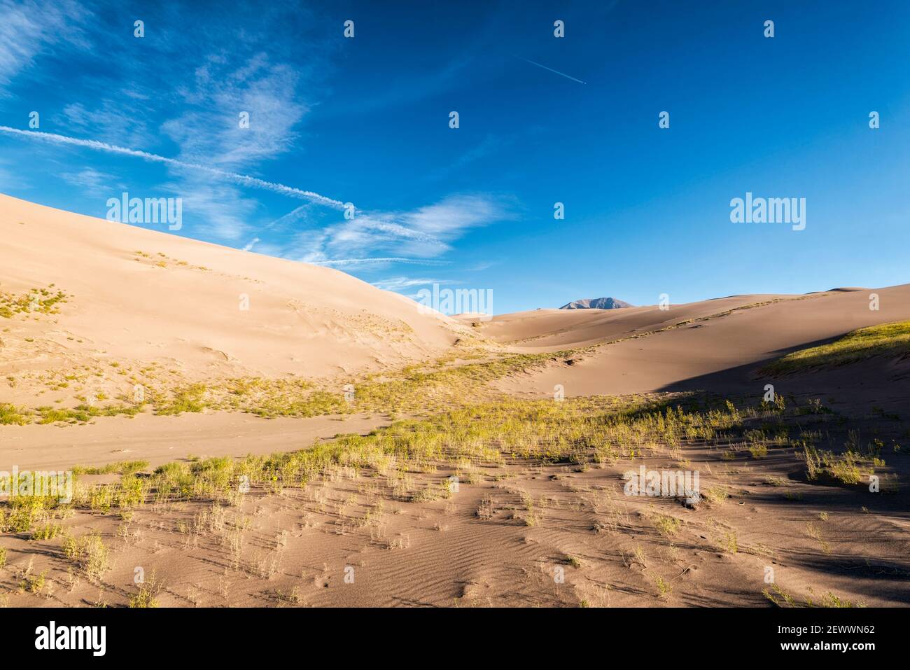 Poncez les dunes contre un ciel bleu dans le Colorado Banque D'Images