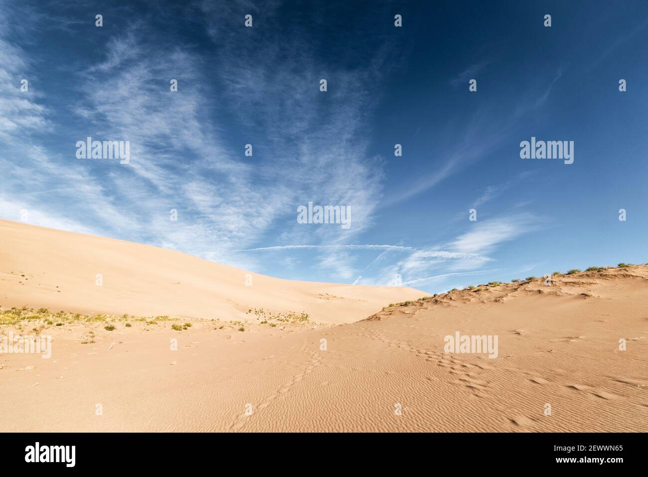 Great Sand Dunes National Park, Colorado Banque D'Images