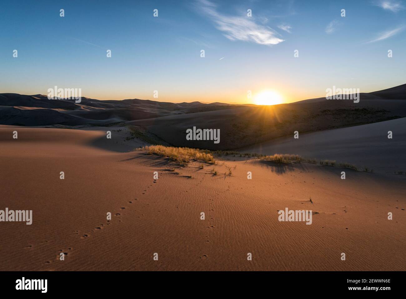 Paysage du désert avec coucher de soleil, Colorado Banque D'Images