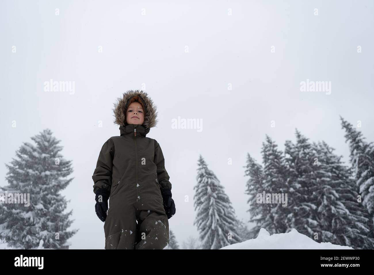 son va pour une promenade dans la forêt d'hiver Banque D'Images