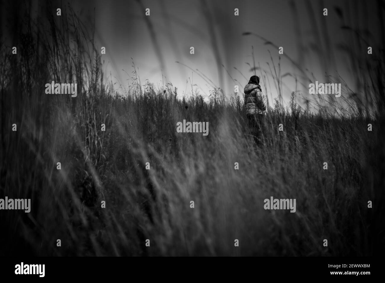 Photo en niveaux de gris d'une personne marchant dans un champ couvert dans l'herbe sous un ciel nuageux Banque D'Images