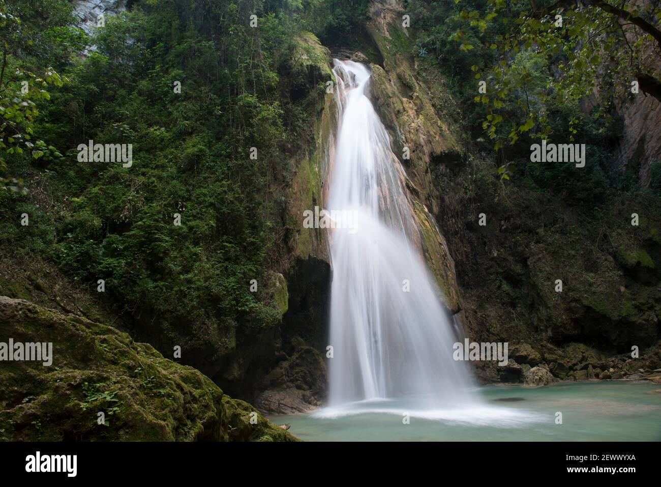 Todos los derechos reservados Banque D'Images