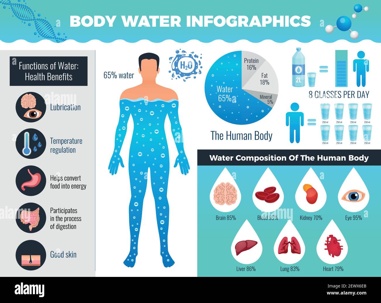 Ensemble d'infographie sur le corps et l'eau avec symboles de balance de l'eau plats illustration vectorielle Illustration de Vecteur