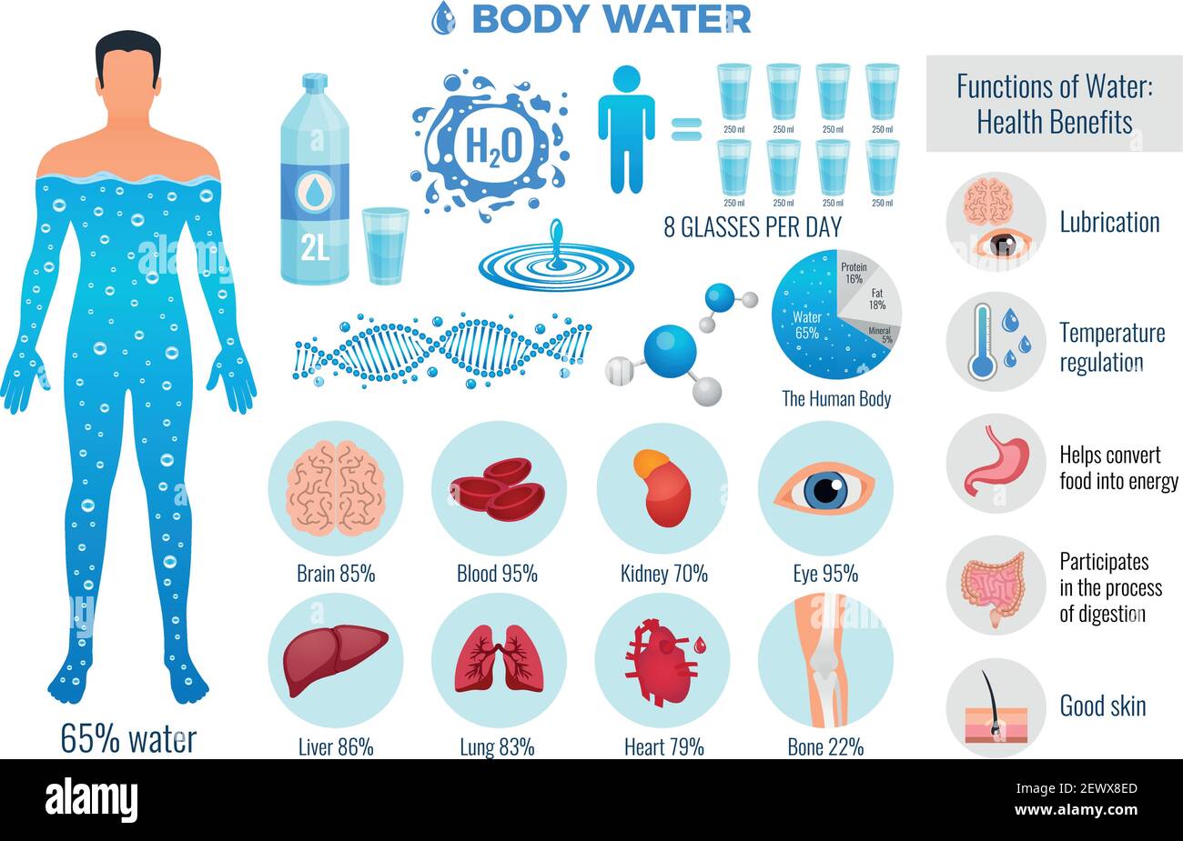 Kit corps et eau avec symboles de fonction eau isolé à plat illustration vectorielle Illustration de Vecteur