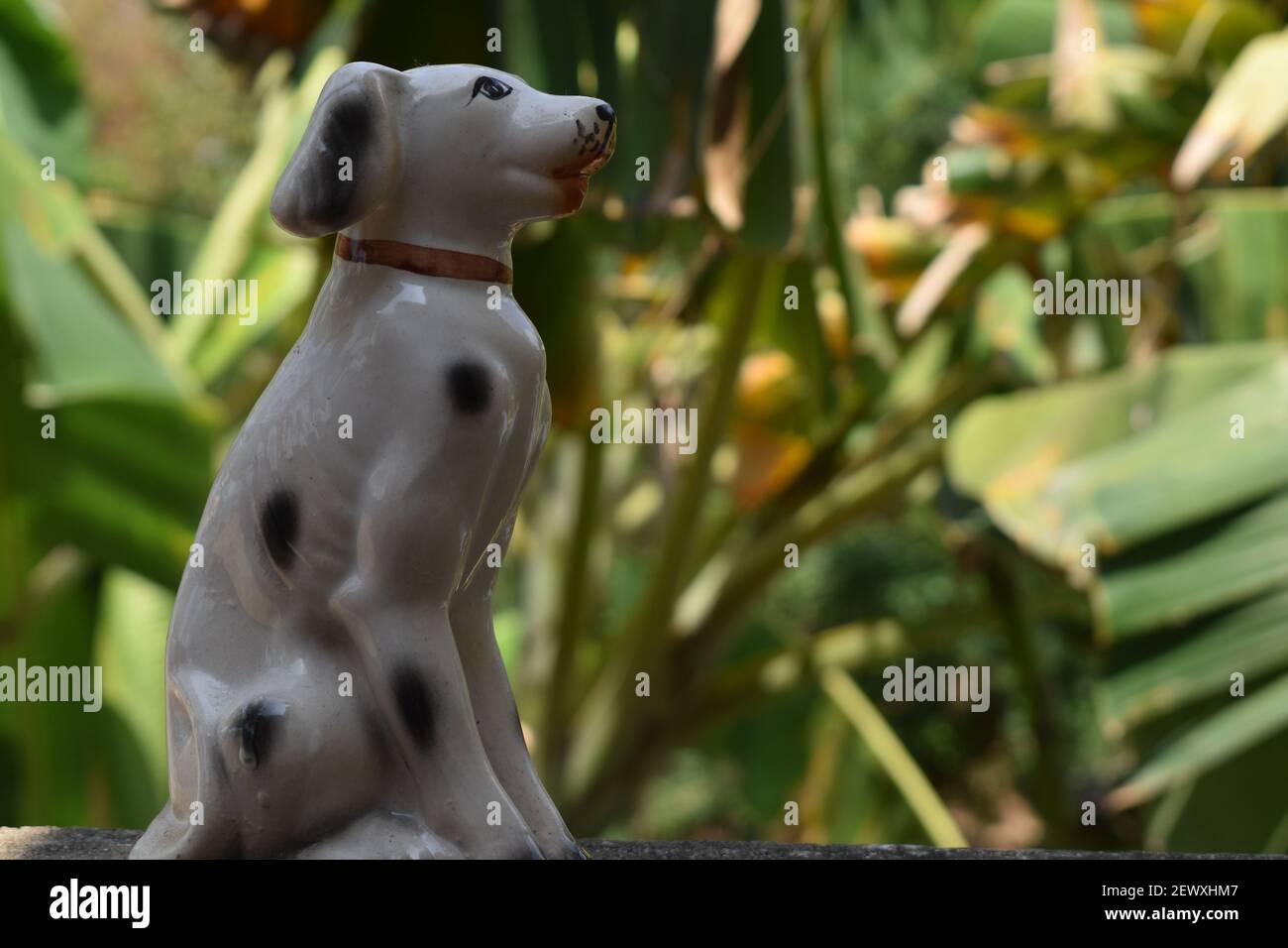 Poupée chien à Tamilnadu. Jouet blanc pour chien et fond naturel. Banque D'Images