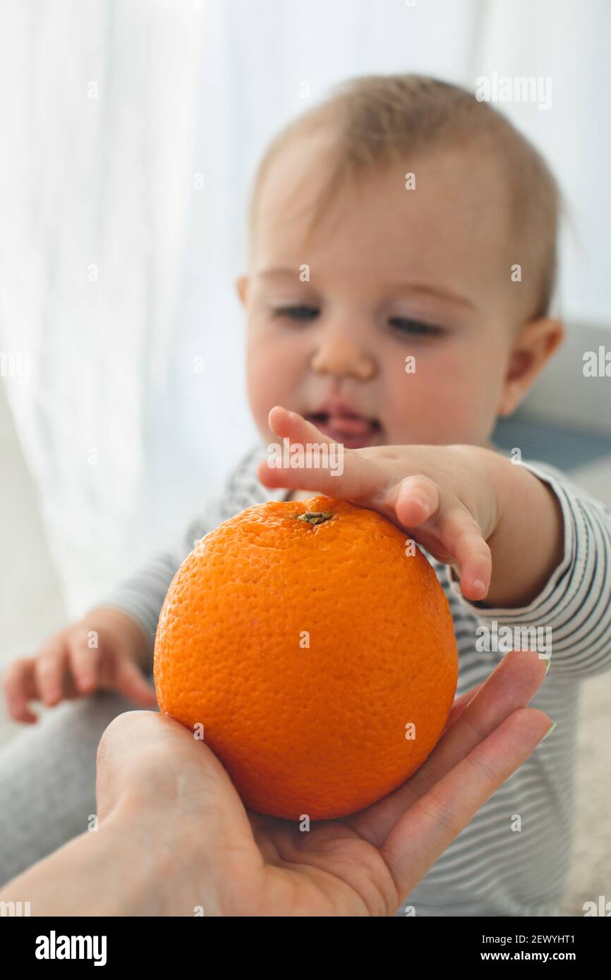 Mignonne bébé fille sont assis avec un fond orange blanc intérieur. Drôle d'enfant explore le fruit Banque D'Images