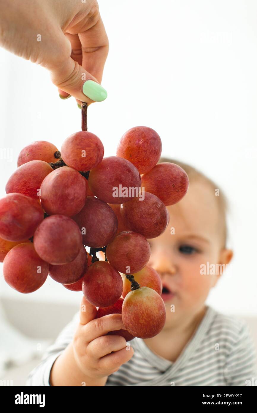 Mignonne bébé fille sont assis avec des raisins blanc fond intérieur. Drôle d'enfant explore le fruit Banque D'Images