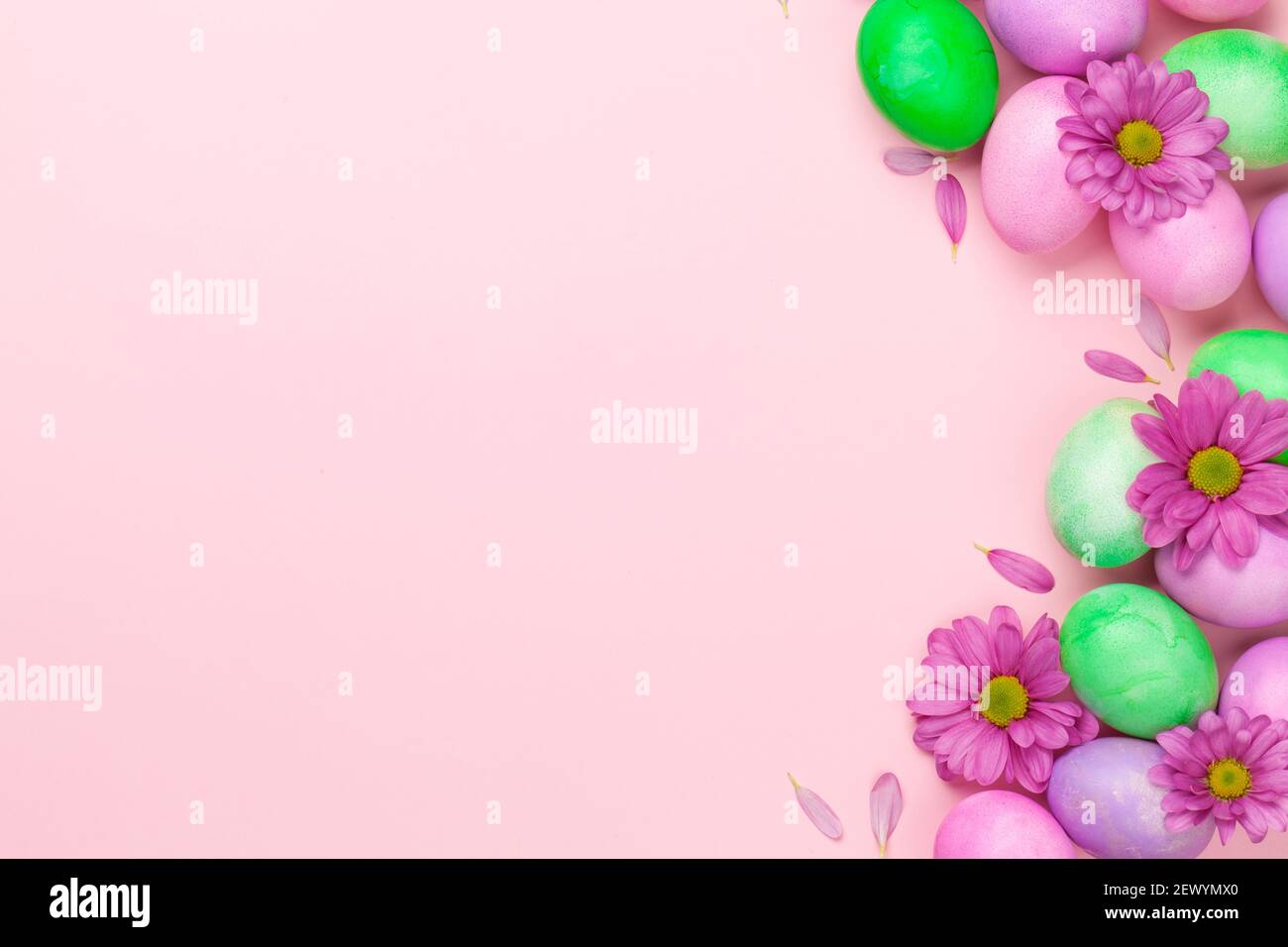 Carte De Vœux De Pâques Avec œufs Et Fleurs De Pâques Colorés. Plan D Accueil Avec Vue De Dessus Et Espace Pour Vos Salutations 2ewym95