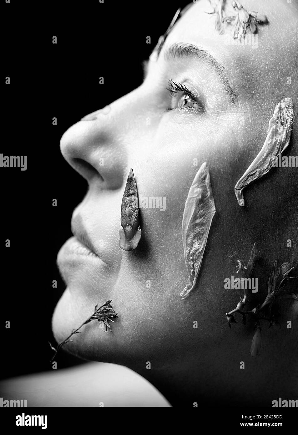 Fleurs sur la face II, ecofruilly Banque D'Images