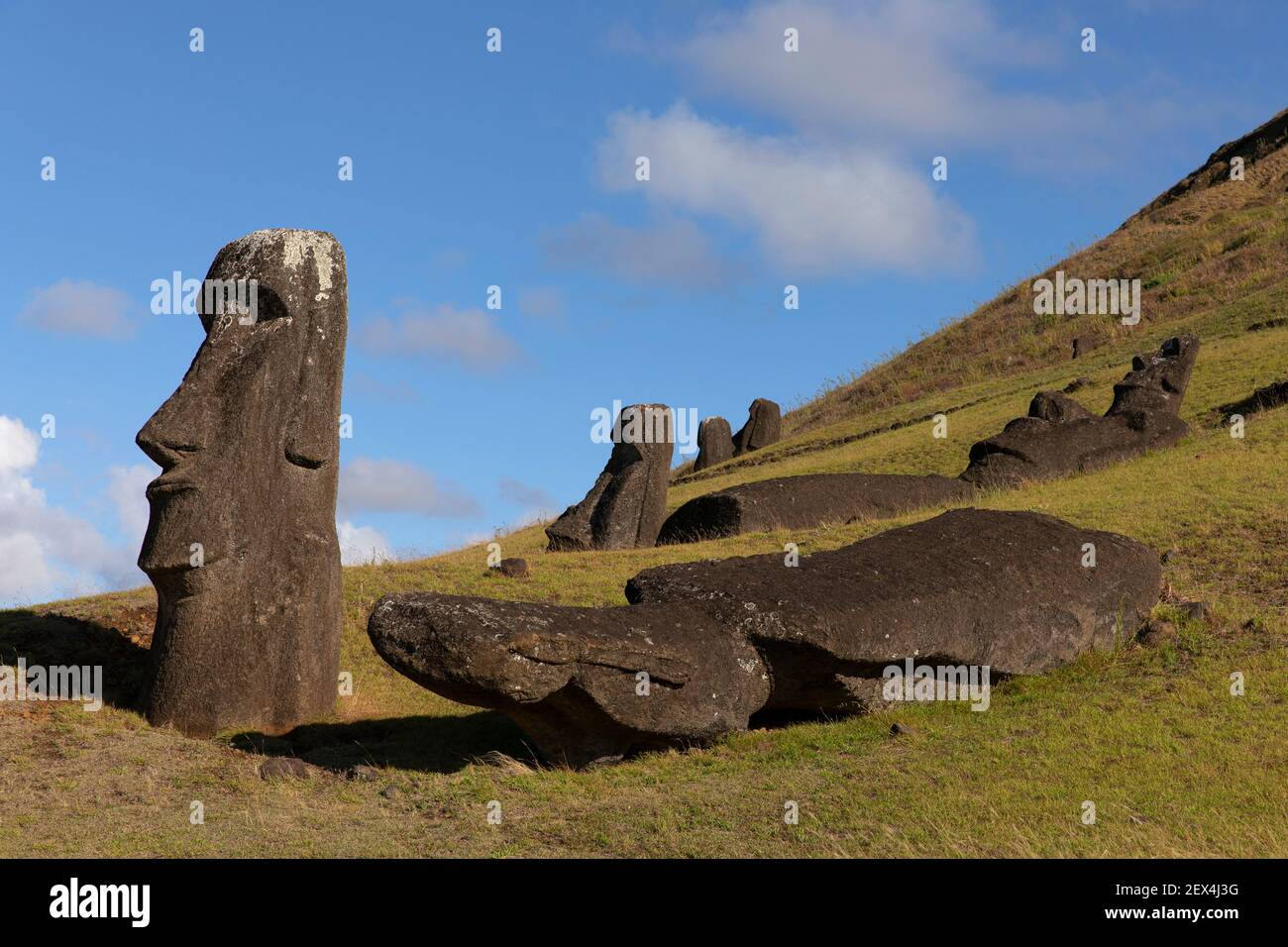 Rano Raraku, carrière de Moai, Île de Pâques, Chili Banque D'Images