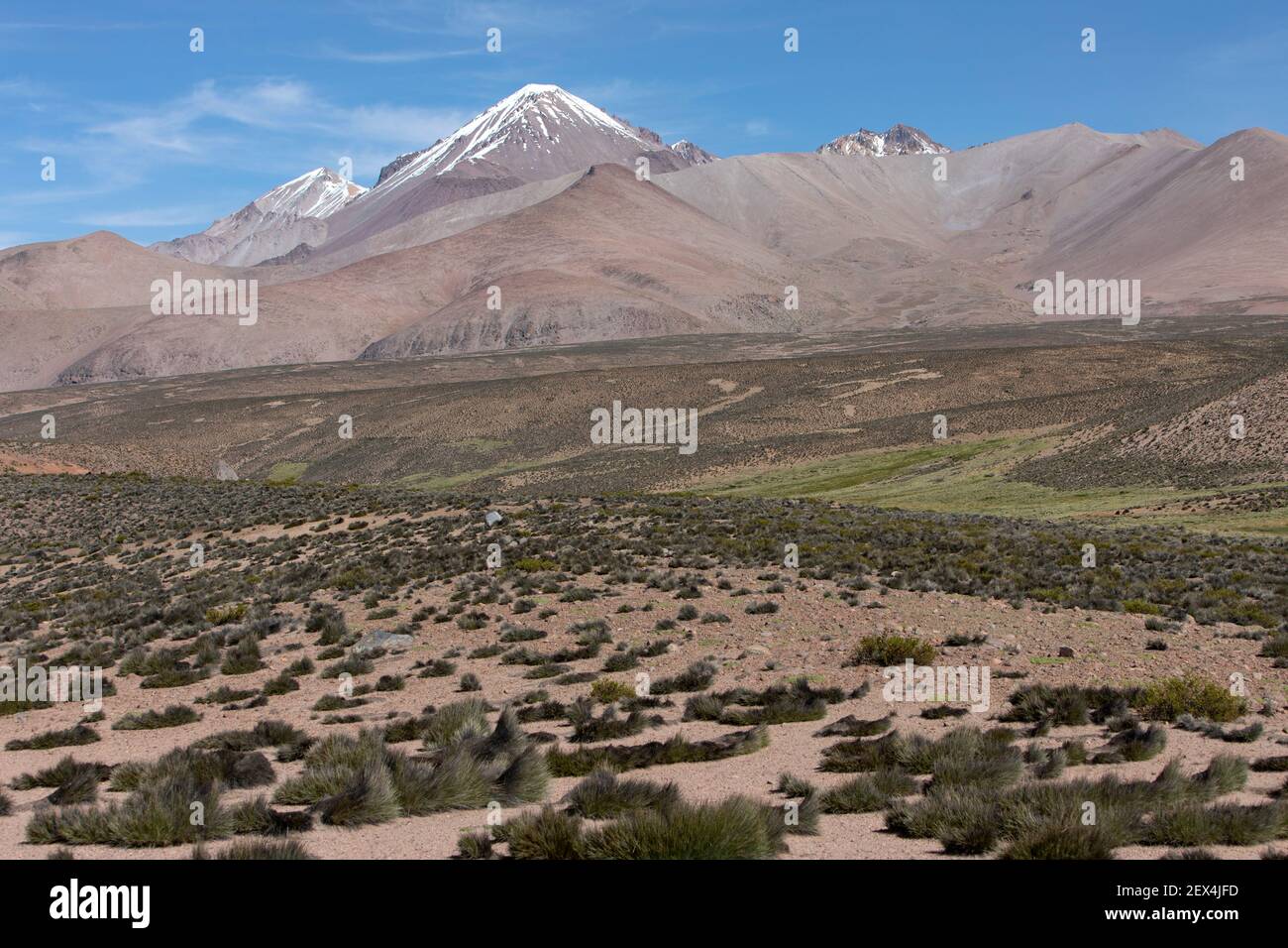 Paysage de l'Altiplano à 4200 m d'altitude, Chili Banque D'Images
