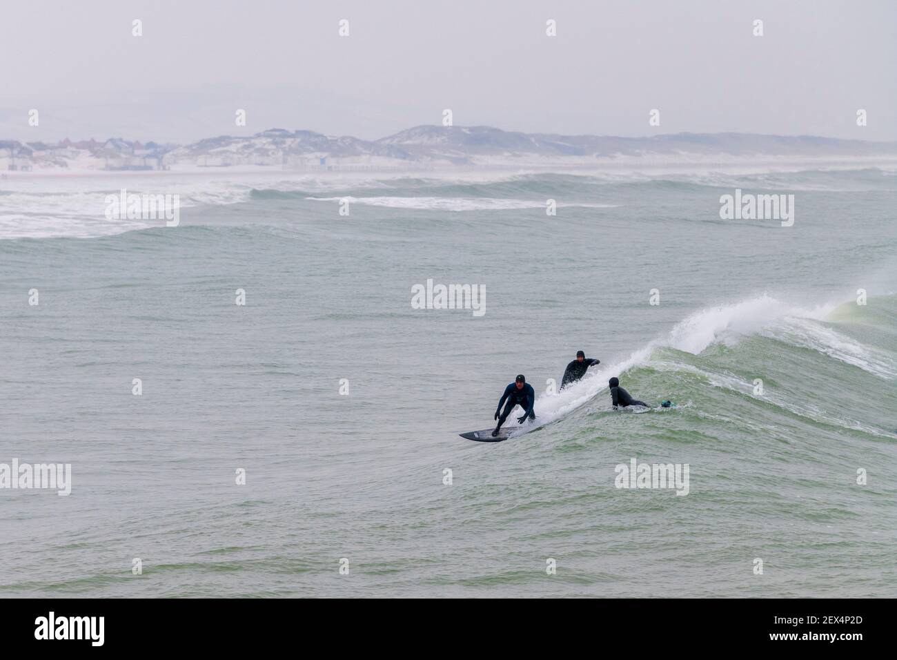 Surfeurs pratiquant à la plage de Calais en hiver, pas de Calais, France Banque D'Images