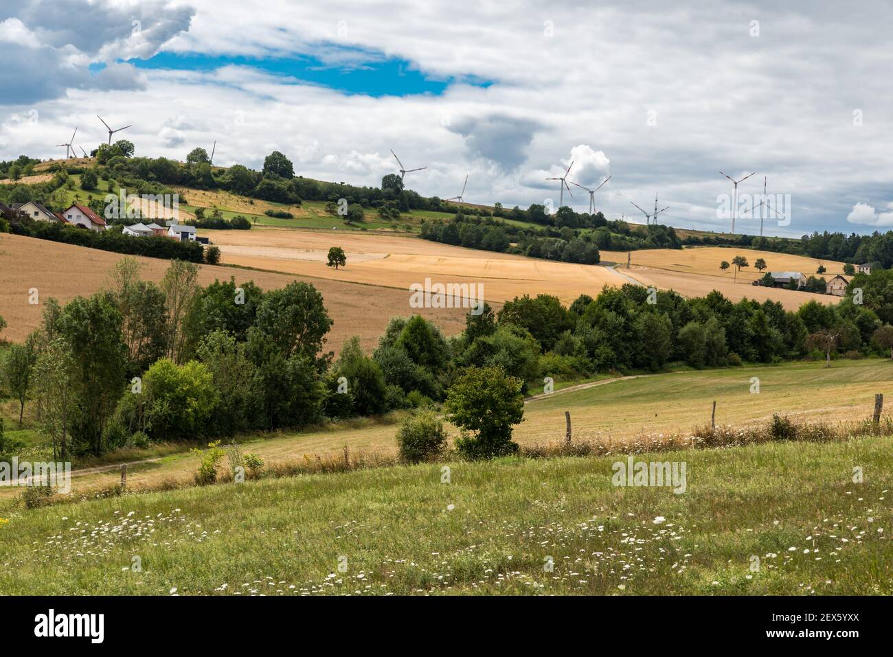 Vue sur la campagne allemande en Rhénanie-Palatinat avec rouleaux de foin et les domaines de l'agriculture Banque D'Images