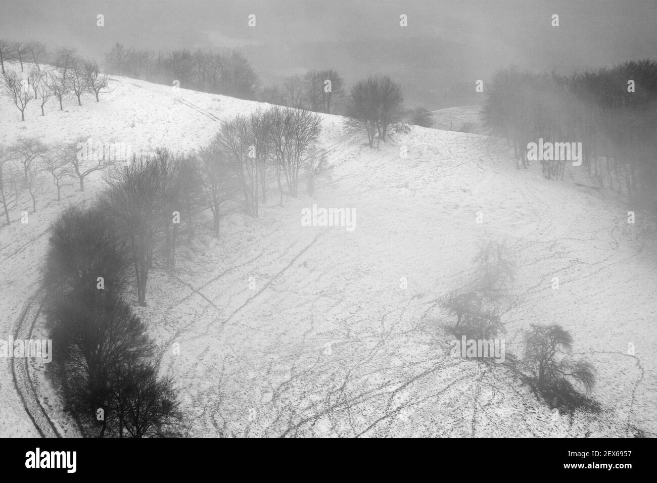 Paysage d'hiver avec du brouillard Banque D'Images