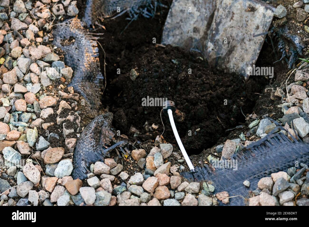 Un trou pour planter un buisson, une pelle est visible. À proximité, il y a un tuyau pour l'arrosage souterrain des plantes. Banque D'Images