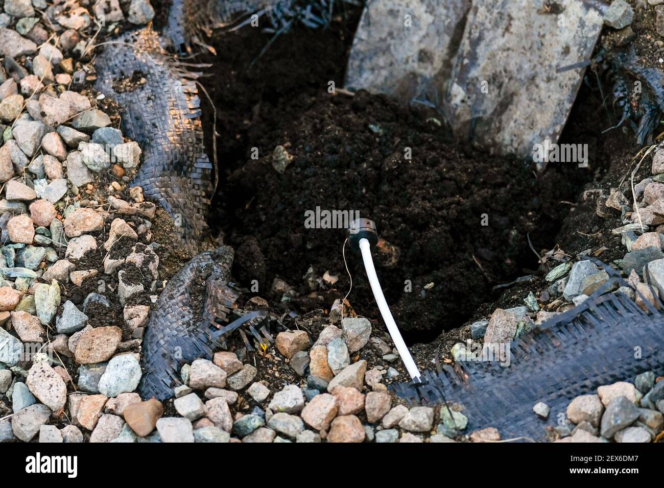 Un trou pour planter un buisson, une pelle est visible. À proximité, il y a un tuyau pour l'arrosage souterrain des plantes. Banque D'Images