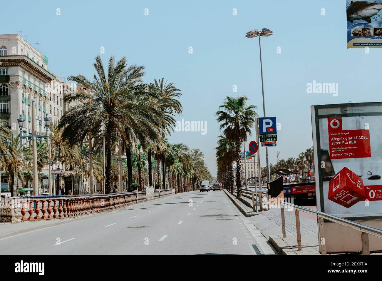 BARCELONE, ESPAGNE - 01 mars 2020 : avenue vide sans voiture en été, Barcelone, Spa Banque D'Images