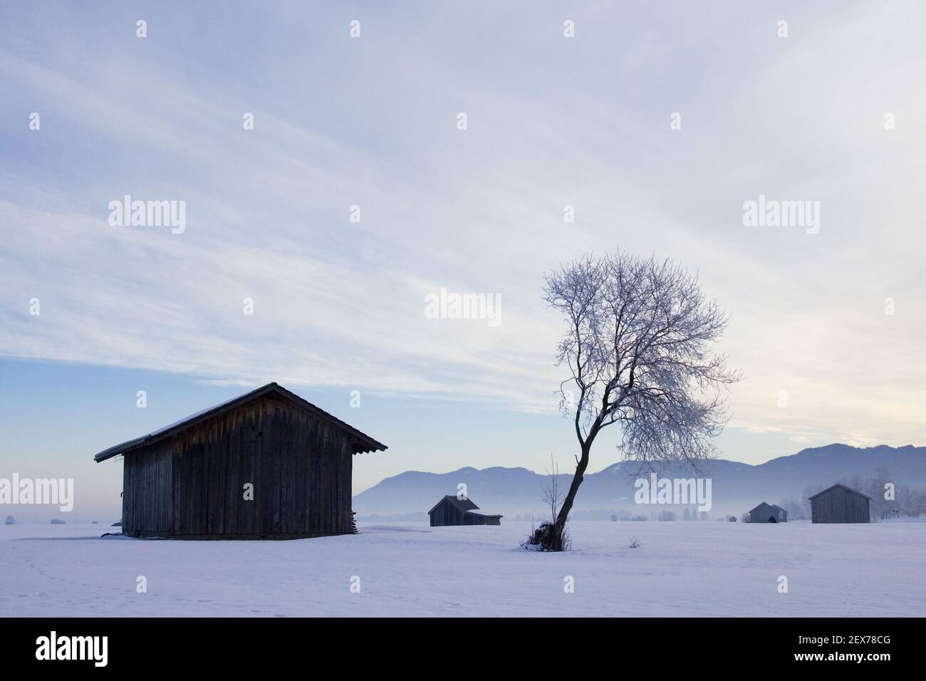 Lever de soleil givré et brumeux sur le plateau alpin, Kochelsee, Bavière forte gelée dans les arbres, lever de soleil givré et brumeux dans la ba Banque D'Images