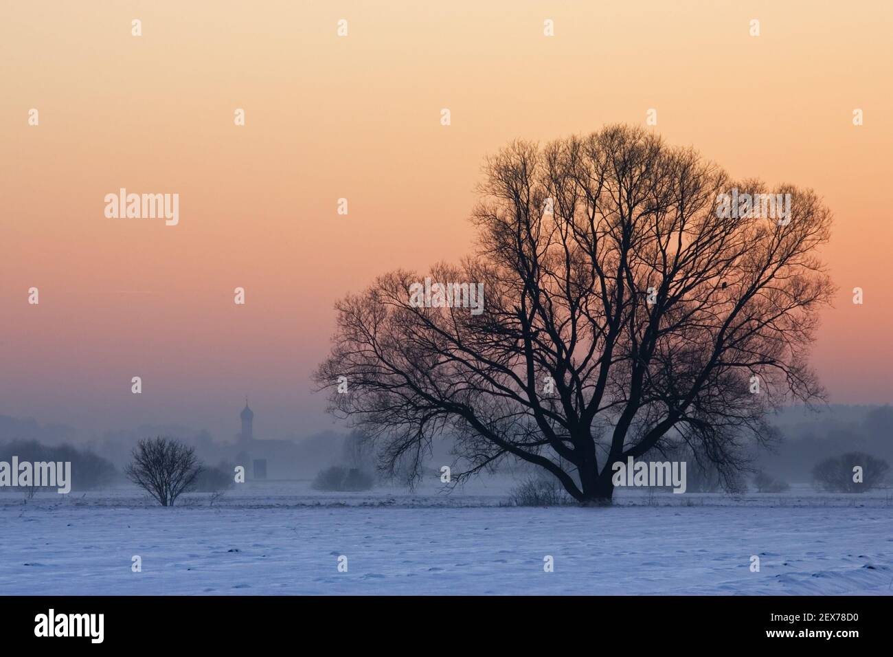 Coucher de soleil sur les champs enneigés avec arbres et église en arrière-plan, Bayern, Allemagne, coucher de soleil sur les champs enneigés avec arbres A. Banque D'Images