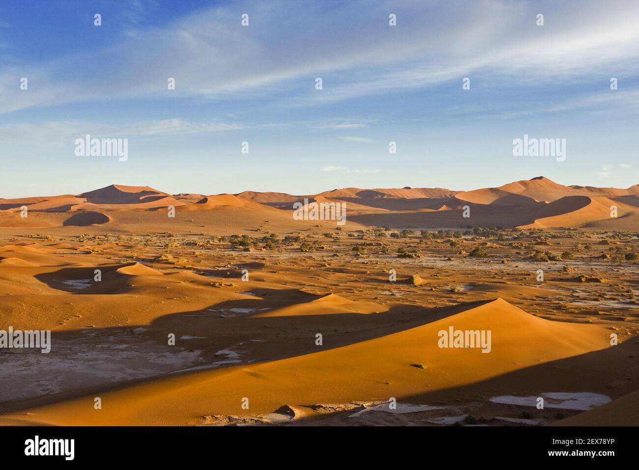 Vue sur les dunes et les loamères séchées, Deadvlei, désert de Namib, Namibie, Afrique, Vue sur les dunes et les casseroles séchées, Afrique Banque D'Images