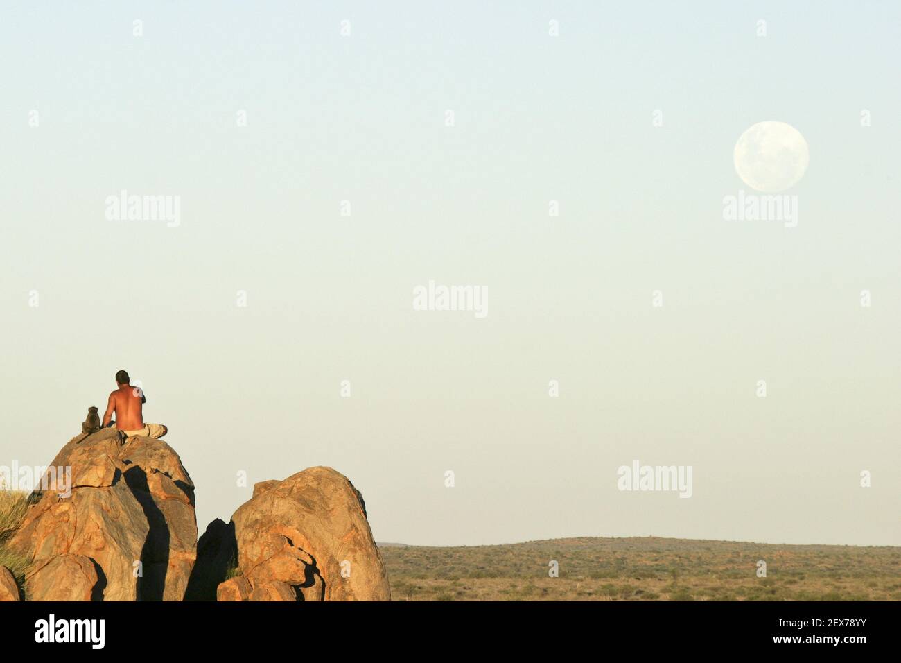 Homme namibien et jeune steppe babouin tamé, babouin (Papio cynocephalus) assis sur un rocher regardant la montée de la lune, Namibie, Afrique, Banque D'Images